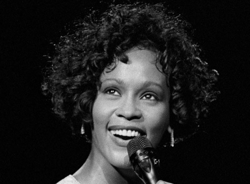 Whitney Houston tribute - ảnh 11
